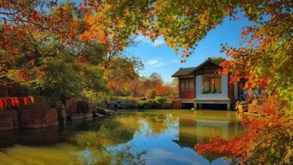 Wuxi Plum Garden Through the Four Seasons