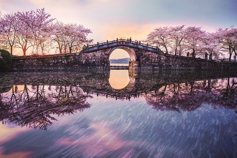 Yuantouzhu on Lake Taihu: One of the World's Great Cherry-Blossom Destinations