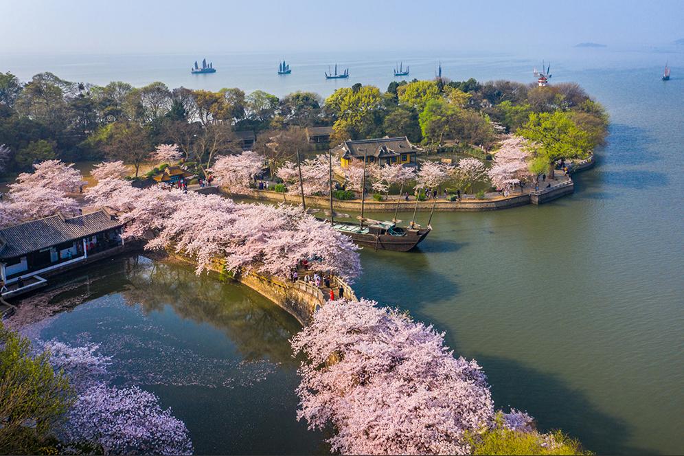 raditional sailboats off an old pier framed by cherry blossoms at Yuantouzhu on Taihu Lake, Wuxi.